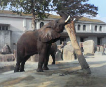 安佐zoo！_f0084643_8373360.jpg