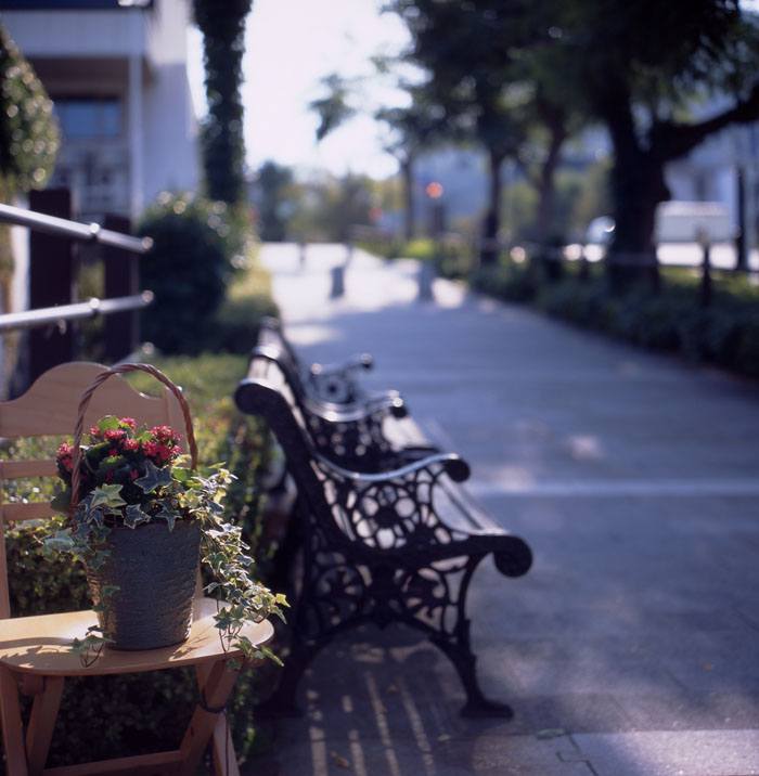d0001745_126668.jpg