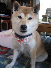 今年最後の~♪_c0049950_22592893.jpg