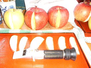f0104457_3573194.jpg