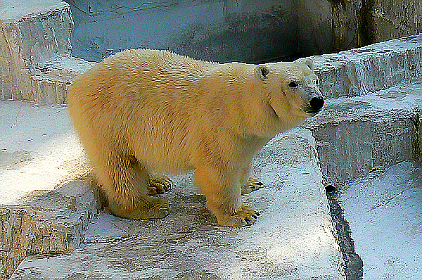 ZOO_f0046960_21495015.jpg