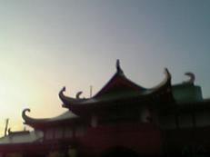 a0055362_20203246.jpg