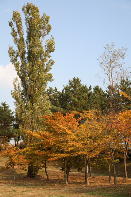 d0033274_20363018.jpg