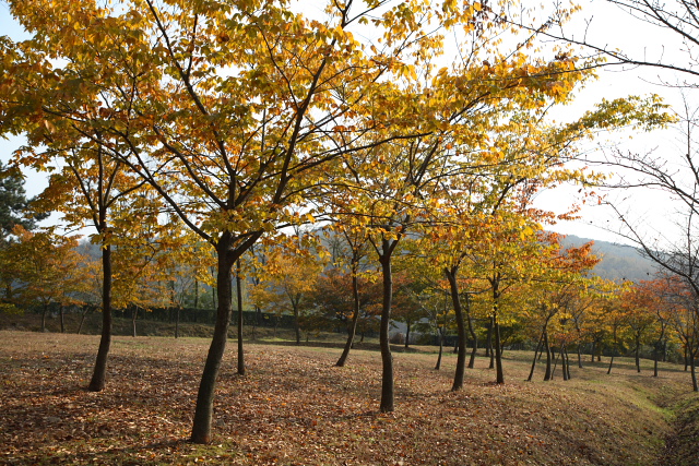 d0033274_2122292.jpg
