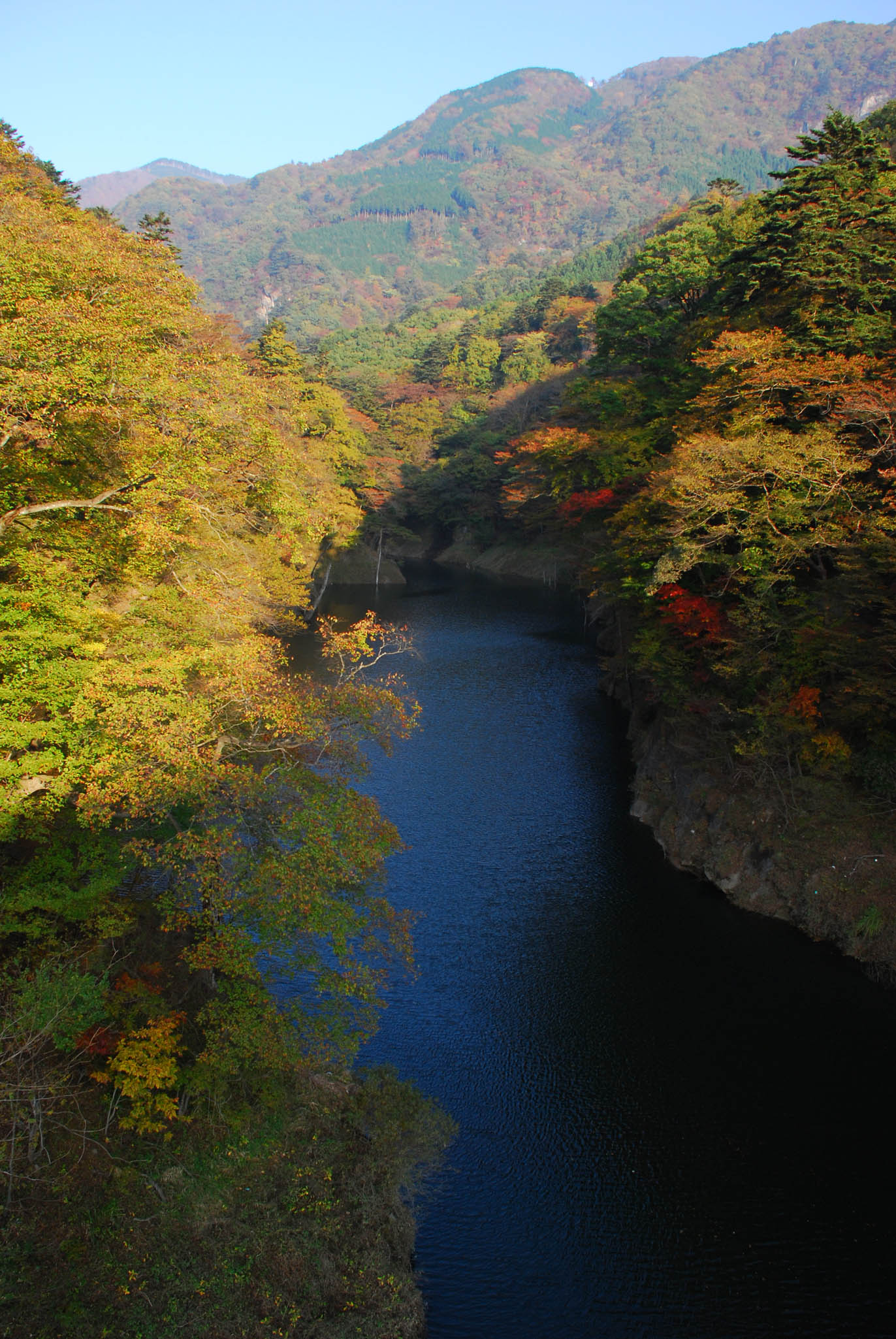 D80で撮る「塩原渓谷」I_e0071178_7453352.jpg