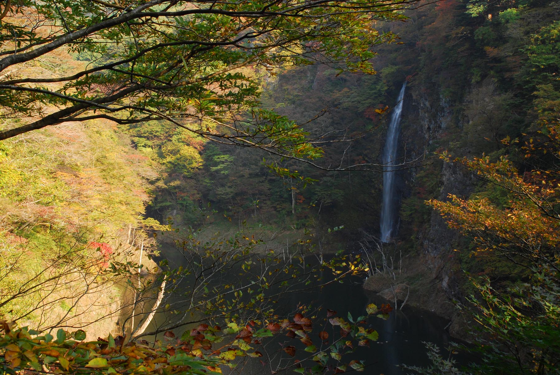 D80で撮る「塩原渓谷」I_e0071178_7511621.jpg