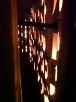 f0060381_06332.jpg