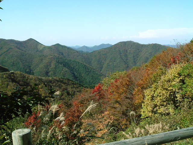 紅葉をたずねて （毛無山）_e0081788_21401110.jpg