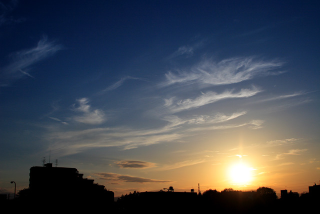 b0067789_18161330.jpg