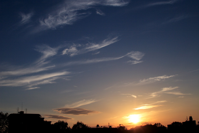 b0067789_18163367.jpg