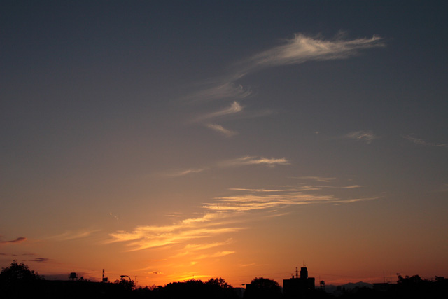 b0067789_18164586.jpg