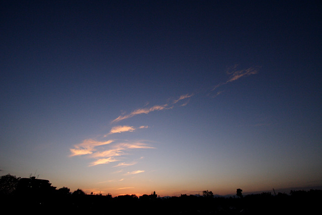 b0067789_18165693.jpg
