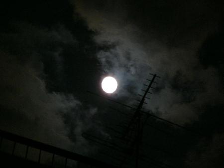a0018200_1033148.jpg