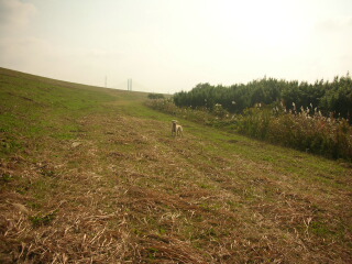 f0109202_17493317.jpg