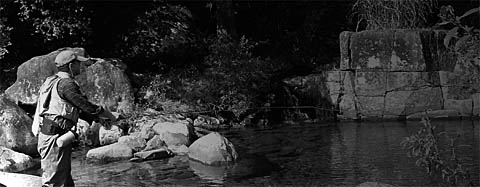 f0022103_1184032.jpg