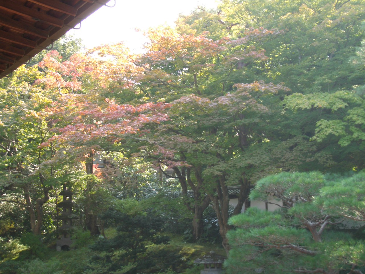 京都の旅（泉にゅう寺～東福寺）　№1_b0046204_21595788.jpg