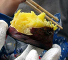 e0032609_23542064.jpg