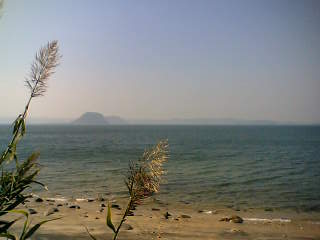 e0077910_2021112.jpg