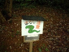 f0043911_1184619.jpg