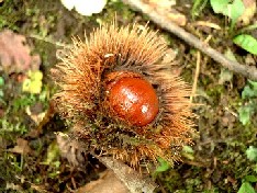 f0043911_119256.jpg