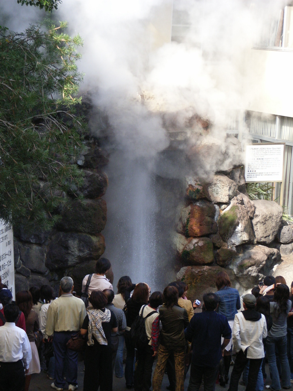 f0056412_1827980.jpg