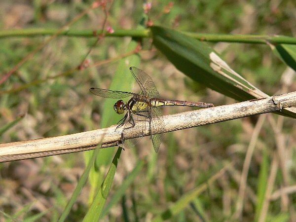 e0002314_2111070.jpg