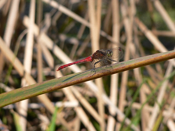 e0002314_21144462.jpg