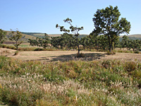 e0100618_17223850.jpg