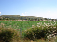 e0100618_17252965.jpg