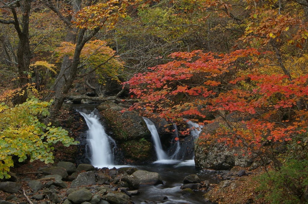 b0062024_19345443.jpg