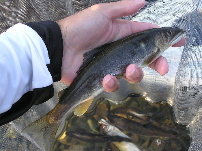 f0103126_20113058.jpg