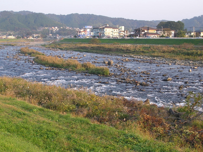 f0103126_20132190.jpg