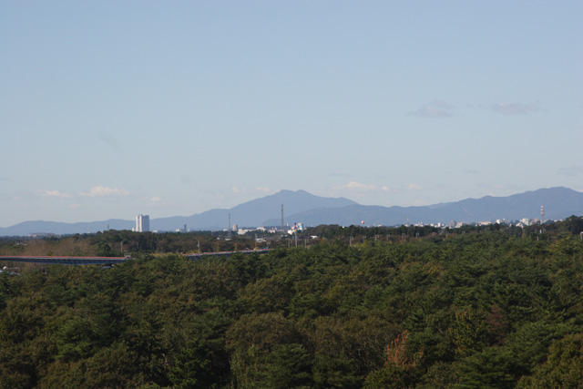 国営ひたち海浜公園_a0006530_12281427.jpg