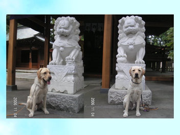 6月の森と唐沢山神社_f0032332_2343273.jpg