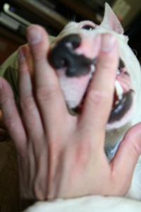 f0076840_14443811.jpg