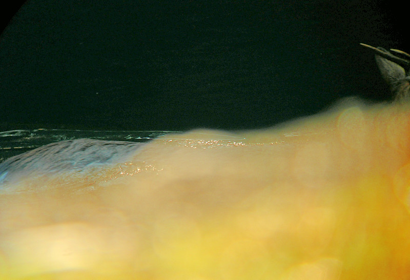 b0109942_1818764.jpg