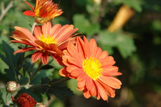 b0088444_155127.jpg
