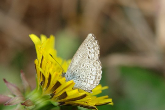 b0088444_161246.jpg
