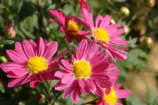 b0088444_16254.jpg