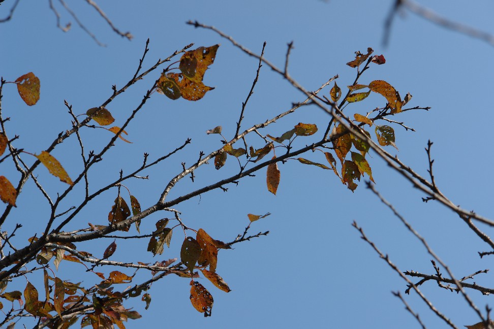 b0088444_17137.jpg