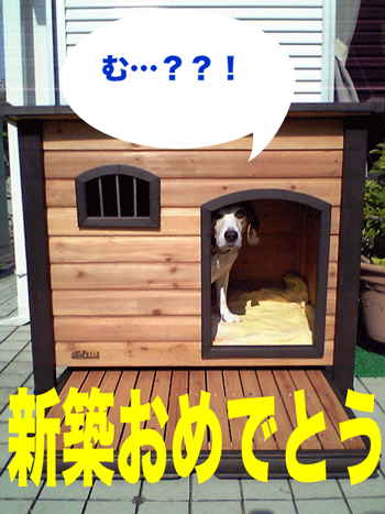 b0005652_15422297.gif