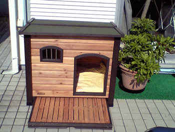 b0005652_15453158.gif