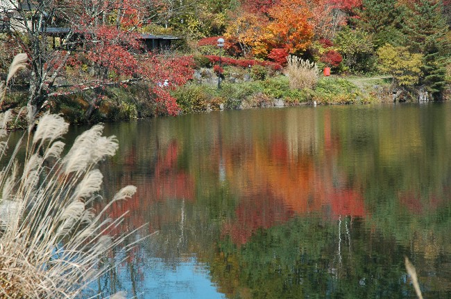 竜神池の紅葉_c0050853_1812078.jpg