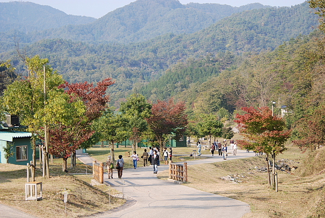 コウノトリの郷公園～特別公開～_c0096053_8205314.jpg