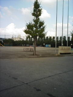f0038153_19373339.jpg