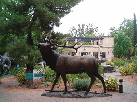 セドナ旅行記・2006 4(続き)_a0061057_19362364.jpg