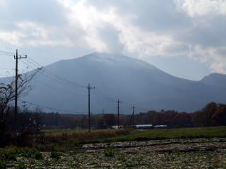 e0088260_2043543.jpg