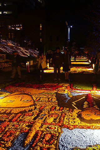 Infiorata 2006 Night_a0002073_14233480.jpg