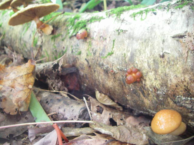 a0066081_6331142.jpg