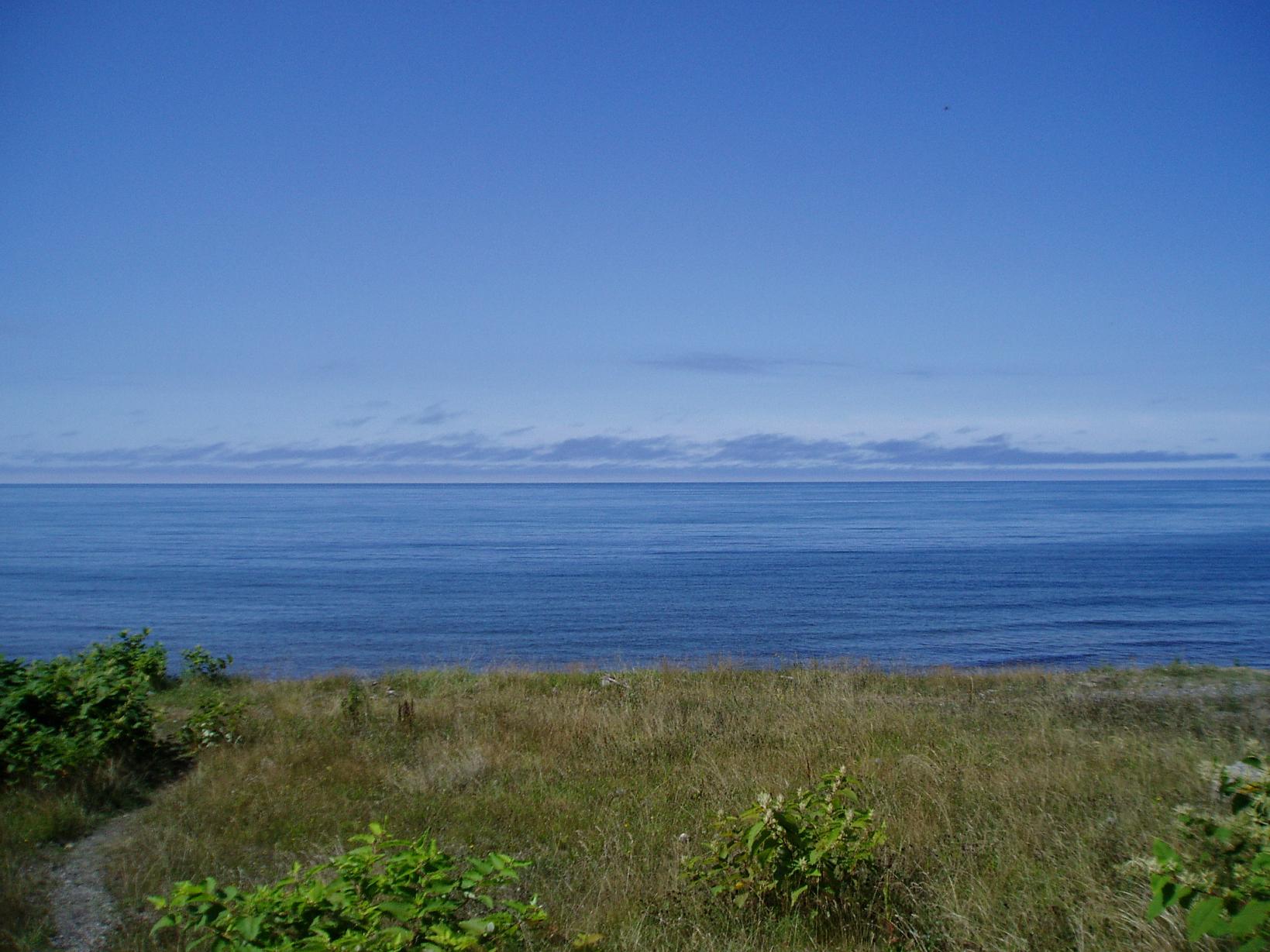 f0005785_54252.jpg